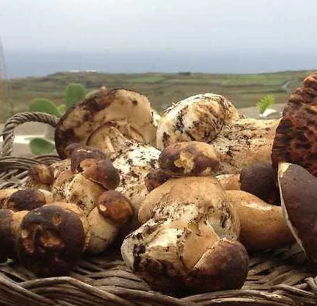 Pantelleria Le Ballute