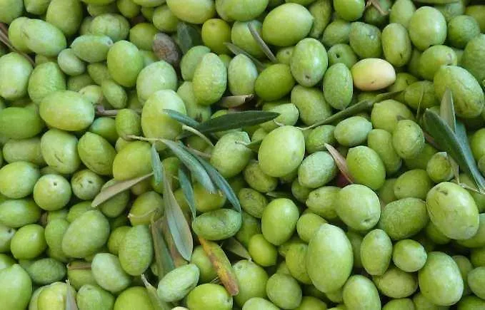 Pantelleria Le Ballute Tracino