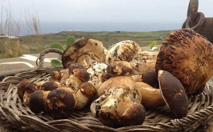 Pantelleria Le Ballute