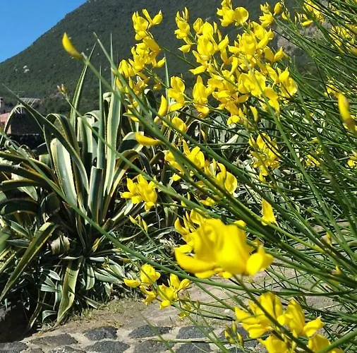 Pantelleria Le Ballute Tracino